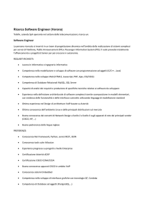 Ricerca Software Engineer (Verona)