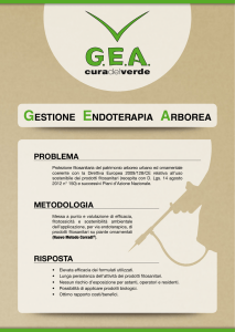 PROBLEMA METODOLOGIA RISPOSTA