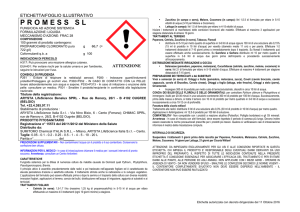 promess sl - Sumitomo Chemical Italia