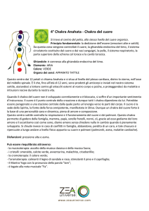 4° Chakra - ZEA Universe