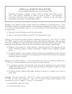 testo e soluzione
