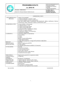 programmasvolto as 2015-16