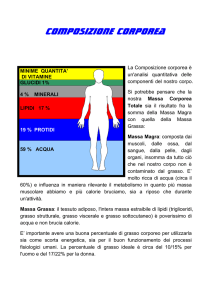approfondisci l` argomento