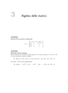 3 Algebra delle matrici