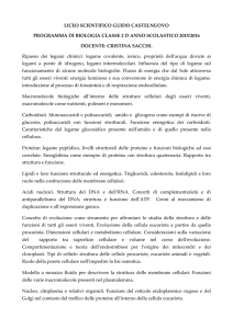 Sc. naturali - Liceo Scientifico Guido Castelnuovo