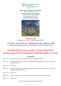 Anatomia RM di tronco encefalo e sistema ventricolare