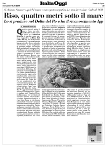Riso, quattro metri sotto il mare