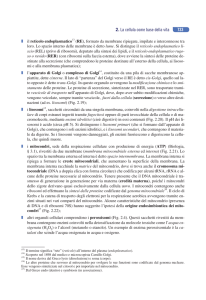 2. La cellula come base della vita 733