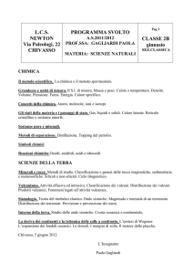LCS NEWTON Via Paleologi, 22 CHIVASSO