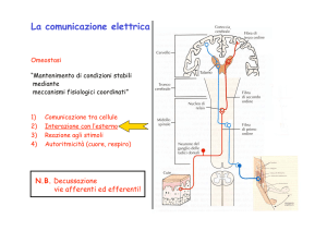 5. Gli esterocettori File