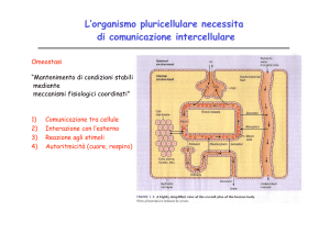 1. La comunicazione chimica mediata da recettori File