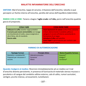 107 - malattie infiammatorie dell`orecchio
