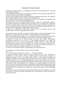 3 - Virgilio