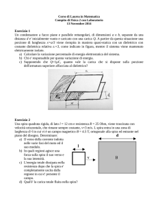 Esercizio 1 Un condensatore a facce piane e parallele rettangolari