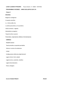 Fotosintesi, respirazione cellulare, fermentazione. CHIMICA: Modelli