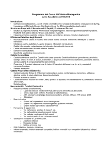 Programma 2016-2017