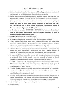 IPEPTROFIE e IPERPLASIE - Corso di Laurea in Scienze Motorie e