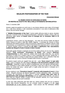 Comunicato stampa