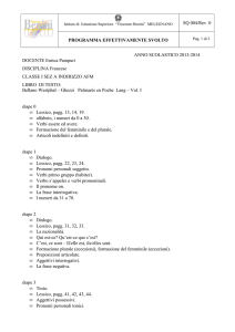 sq 004 programma svolto ia afm