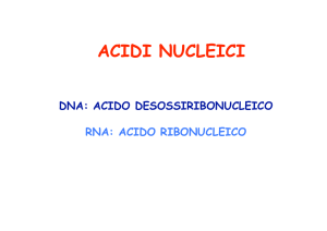 03_ac nucleic - Docenti.unina