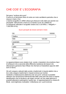 che cos` e` l`ecografia - Prof. Dott. Giuseppe Aliperti