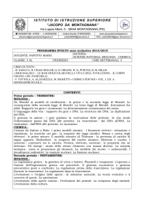 istituto di istruzione superiore
