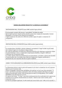 SCHEDA RELAZIONE PROGETTO “IL CERVELLO ACCESSIBILE
