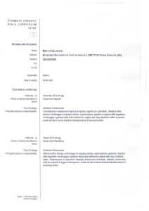 CV Salvaggio Ninetta