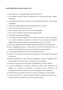 QUESTIONARIO PER FILM ROSSO COME IL