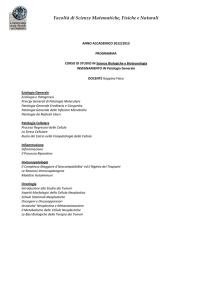 Facoltà di Scienze Matematiche, Fisiche e Naturali