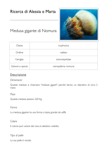 Ricerca di Alessia e Marta Medusa gigante di Nomura
