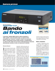 Bando ai fronzoli