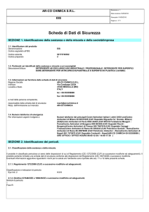 Scheda di Dati di Sicurezza