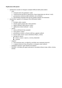Duplicazione delle piante