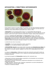 ASTAXANTINA: L`IMBATTIBILE ANTIOSSIDANTE