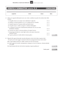 verifica SOMMaTiva NarraTiva 5.3 cONOSceNze