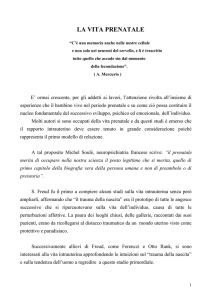 la vita prenatale