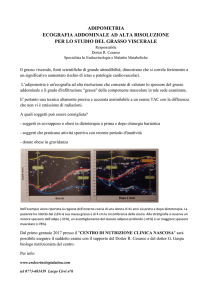 adipometria ecografia addominale ad alta risoluzione per lo studio
