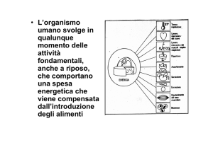 Attività Anaerobica parte 1