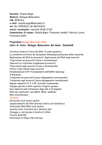 Libro di testo: Biologia Molecolare del Gene. Zanichelli