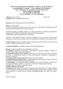 falco_maria-scienze_naturali-iii_f - i.i.s. bruno