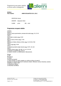 Programma recupero debito e lavoro estivo