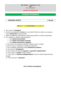 - fabriziocarmignani