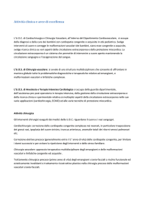 Attività clinica e aree di eccellenza
