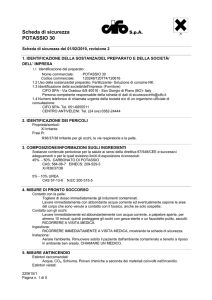 Scheda di sicurezza POTASSIO 30
