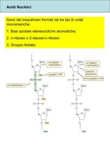 Diapositiva 1 - Docenti.unina