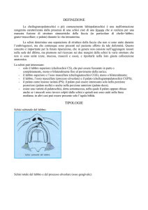 cos`e` la labio palato schisi