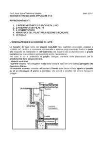 Scienze e Tecnologie applicate - 2G Prof .ssa Erica Valentina Morello