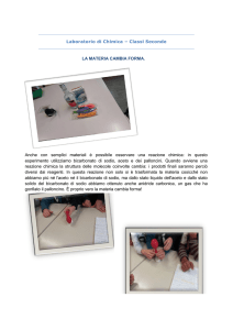 Laboratorio di Chimica – Classi Seconde LA MATERIA CAMBIA