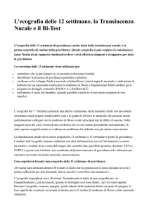 L`ecografia delle 12 settimane, la Translucenza Nucale e il Bi-Test